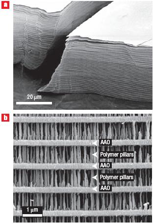 SEM-izobrazhenie_3D-struktur.jpg