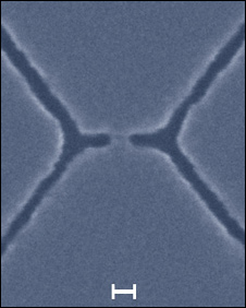 nanotranzistor1.jpg