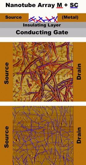 NanotubesSelectionDupont2_011509.jpg