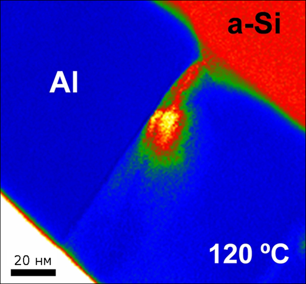 bilayer.jpg