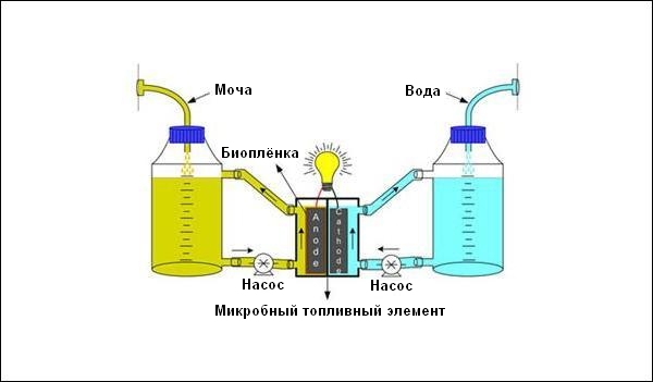 urine-fuel-cells_410_tcm18-209641.jpg