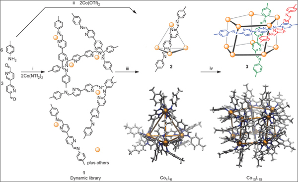 nchem.1407-f1.jpg