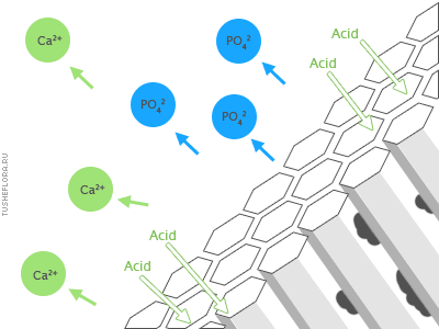 hidrovyapatite-2.gif