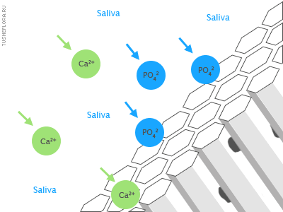 hidrovyapatite-3.gif