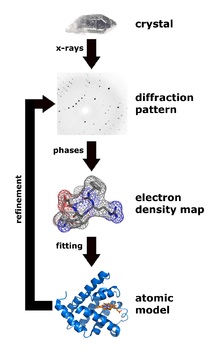 habrahabr-protein-6.jpg