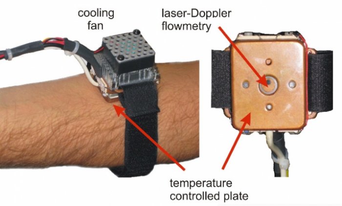 gizmonews-endotheliometer.jpg