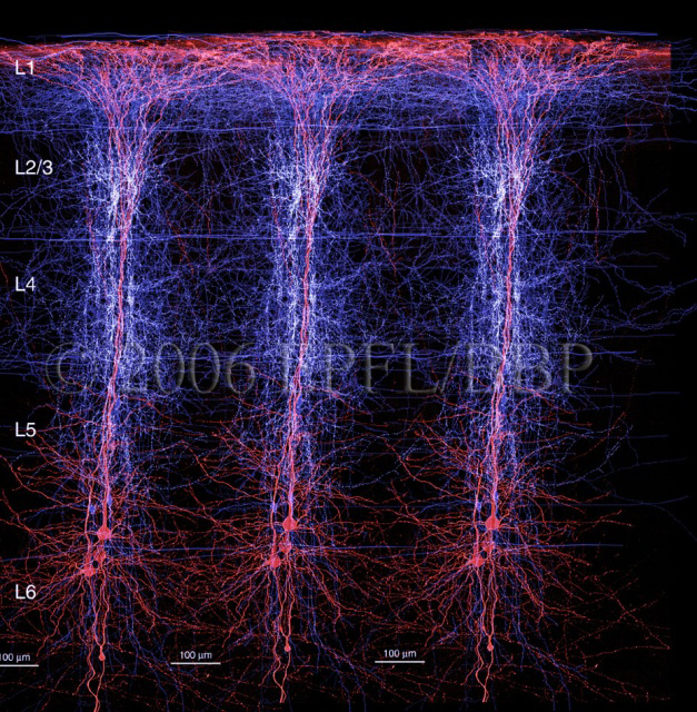 habrahabr-brain-project-3.jpg