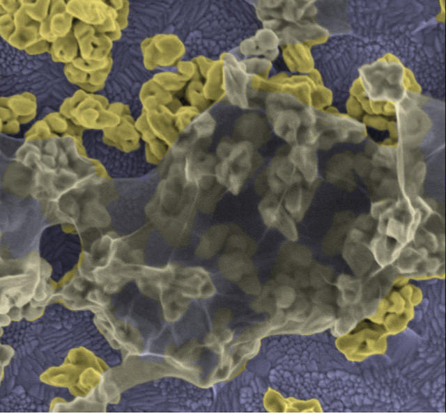 nkj-gold-nanoparticles-1.jpg