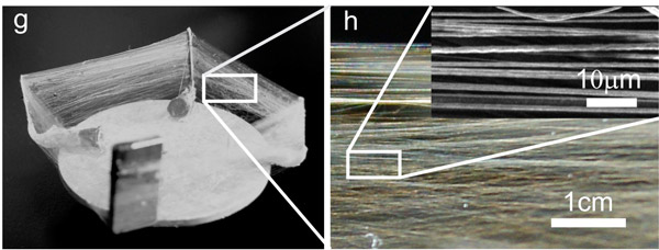 elementy-magnetospinning_of_microfibers_2_600.jpg