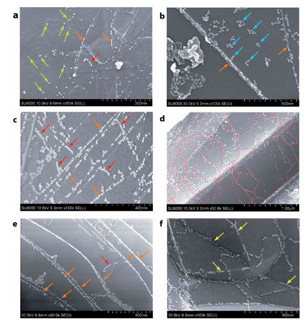 nkj-graphenes-defect-2.jpg