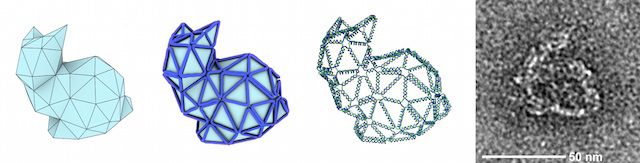 geektimes-dna-origami-2.jpg