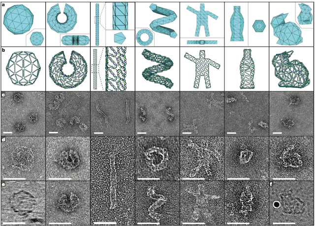 geektimes-dna-origami-3.png