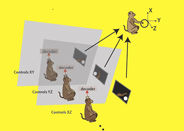 nplus1-aip-brain-net-1.jpg