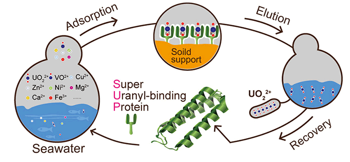 geektimes-protein-and-uran-1.png