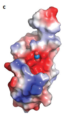 geektimes-protein-and-uran-3.jpg