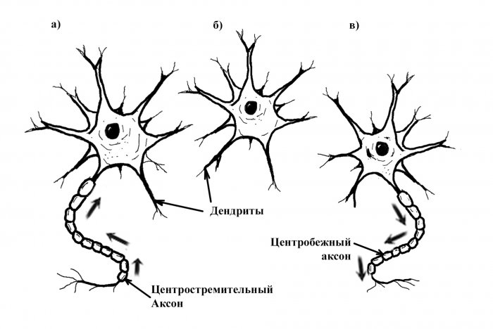 c27fd9c33e4f43e1be87884c42a14ea1_3.jpg