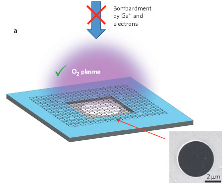 graf-membrane-pores.jpg