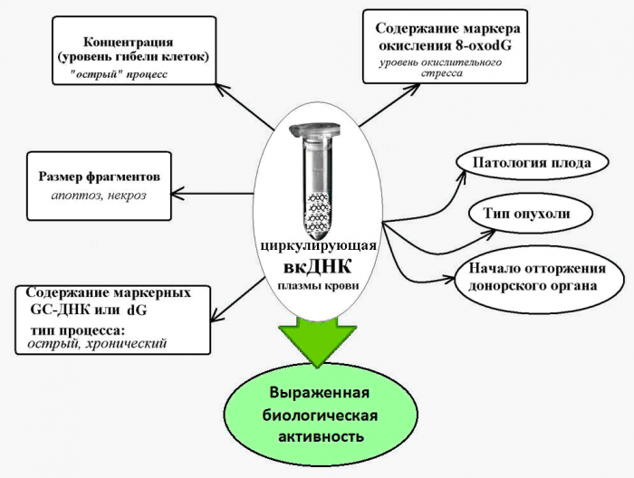 Днк карта для сбора образцов биоматериала