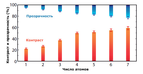 membrana-1273242118-1.jpg