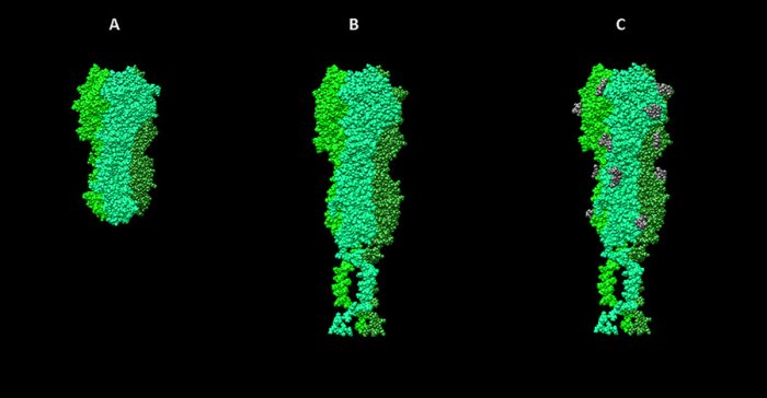 visual-science_ch2_10.jpg