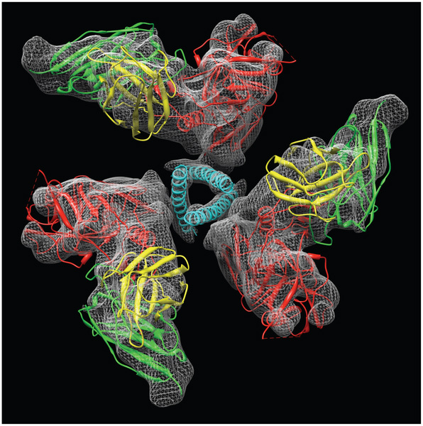 visual-science_ch2_3.jpg