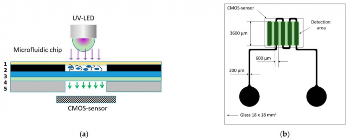 biochip1.png