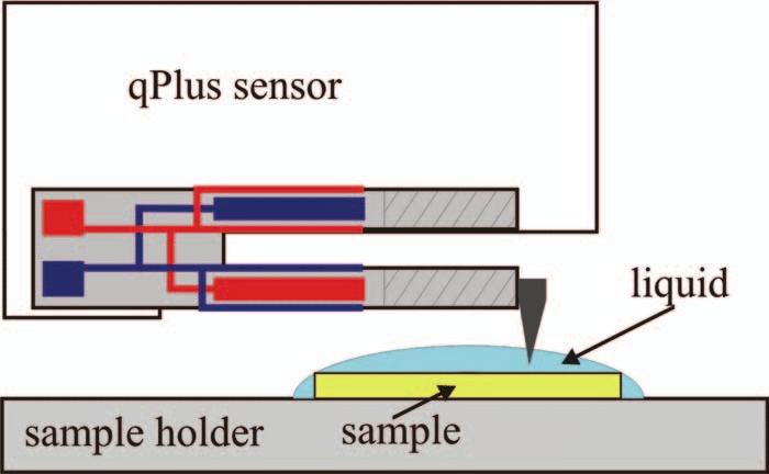 sensor.jpg